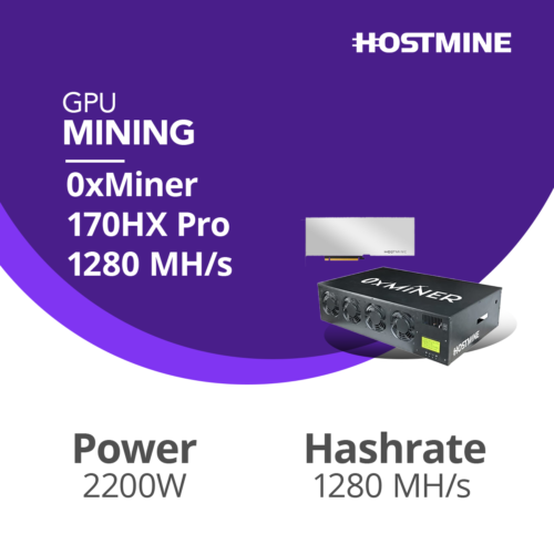 0xMiner 170HX Pro 1280 MH/s 13